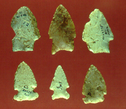 Different styles of Archaic project points representing separate regional groups.