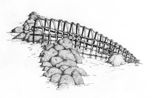 Fishtrap drawing