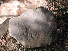 Petroglyphs on boulder
