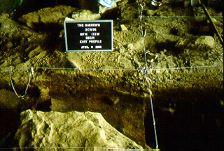 Excavation unit showing pothunter disturbance