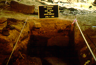 Figure 5. Excavation unit showing undisturbed Stratum 3 deposits