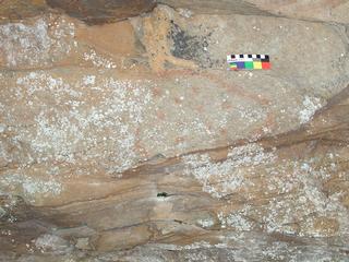 Pictograph at 3CN127.