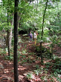 Mapping station set up in the middle of the hollow.