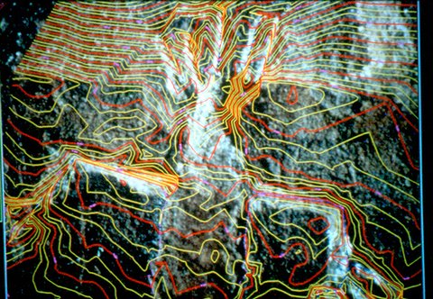 Fig. 6. Contour surface of an anthropomorph at The Narrows