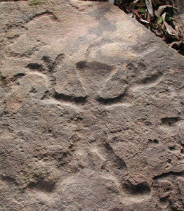 Petroglyph