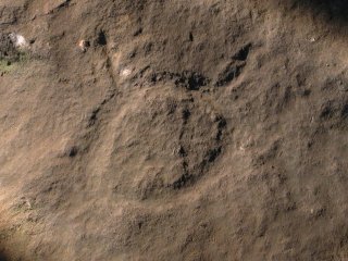 3CN0020_84 - Petroglyph