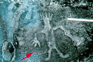 3CW0035_28 - Petroglyph