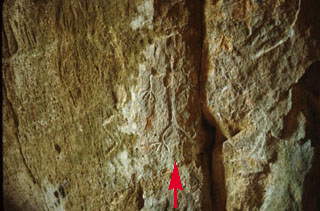 3CW0158_1 - Petroglyph