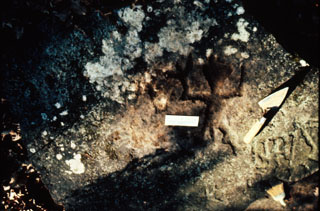 3IN0391_4 - Petroglyph