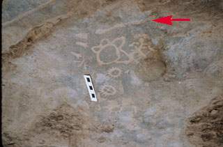 3IN0392_10 - Petroglyph
