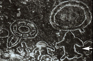 3VB0006_10 - Petroglyph