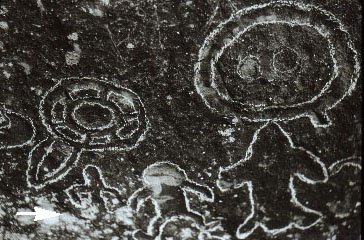 3VB0006_11 - Petroglyph