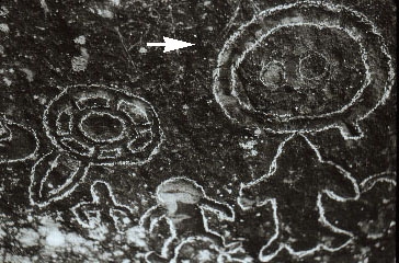 3VB0006_8 - Petroglyph