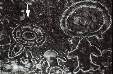 3VB0006_9 - Petroglyph