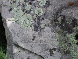 3YE0840_1 - Petroglyph