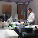 Buy a doctoral dissertation grant nsf