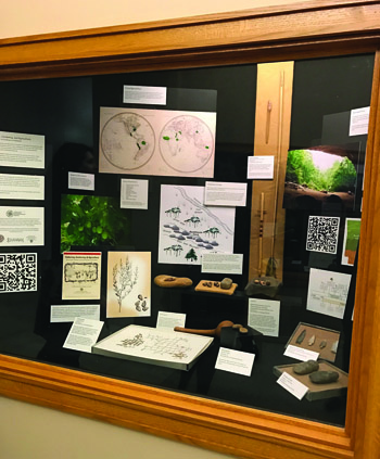 Part of an exhibit at the State Capitol put together by our “Gathering, Gardening, and Agriculture” team in cooperation with David Ware, Capitol Historian. Part of an exhibit at the State Capitol put together by our “Gathering, Gardening, and Agriculture” team in cooperation with David Ware, Capitol Historian.