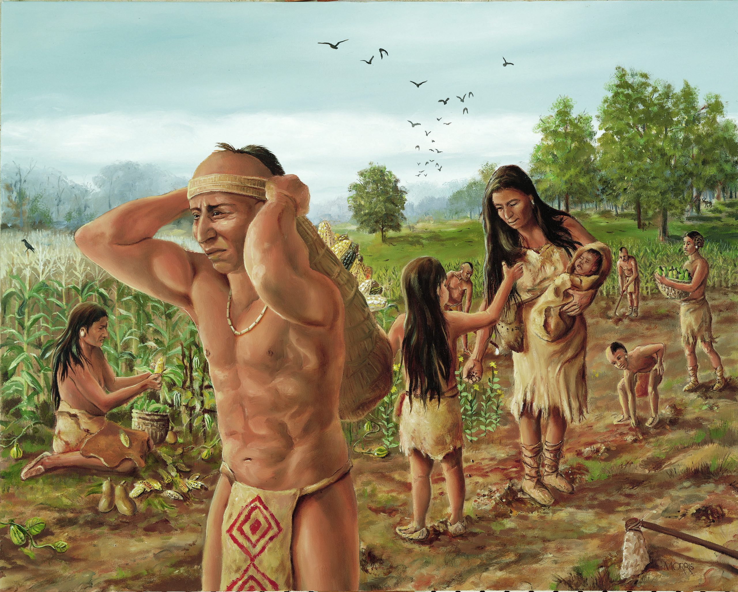 Painting of Native Americans harvesting corn
