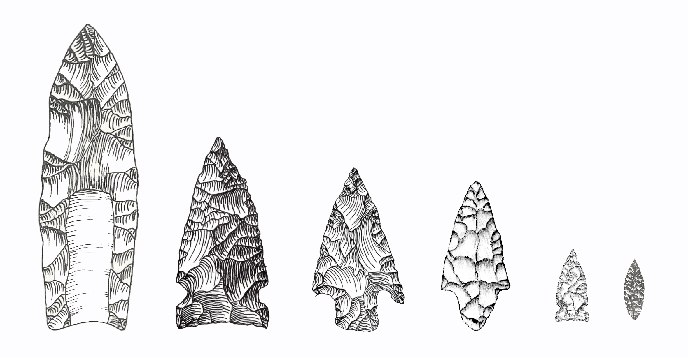 Drawing of a series of projectile points