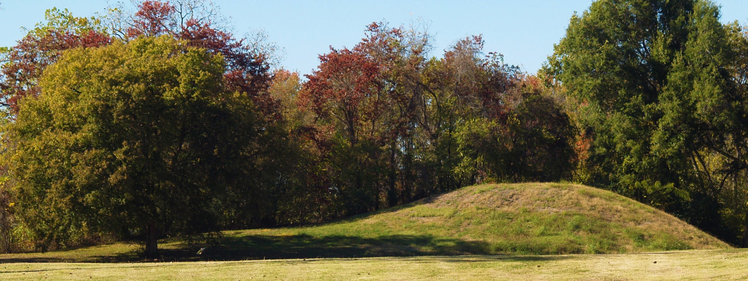 Large earthen mound with trees behind
