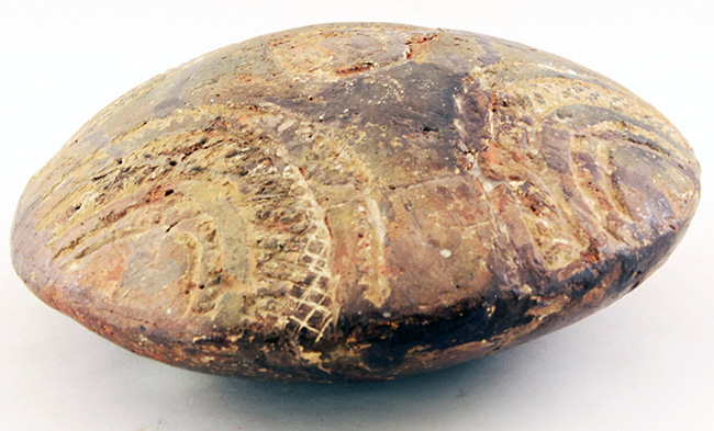 Photograph of the engraved pottery container