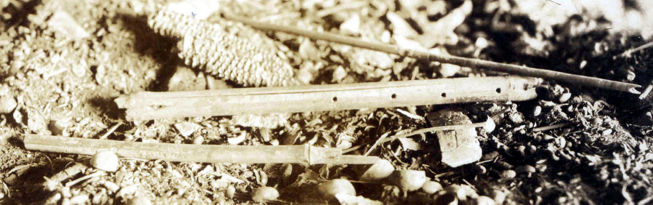 BreckenridgeFlute_1933FieldPhotoDetail_sm