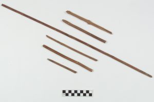 Examples of cane arrowshafts from Bushwhack Bluff shelter in Benton County. 