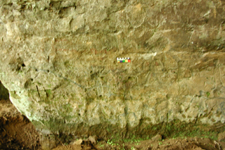 Panel of human petroglyphs