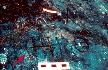 3PP0085_1 - Petroglyph