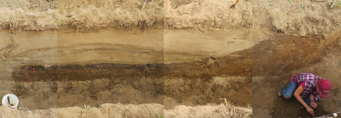 ASU station archeologist Dr. Juliet Morrow in the trench at the Old Town Ridge site in northeast Arkansas, showing stratigraphy.