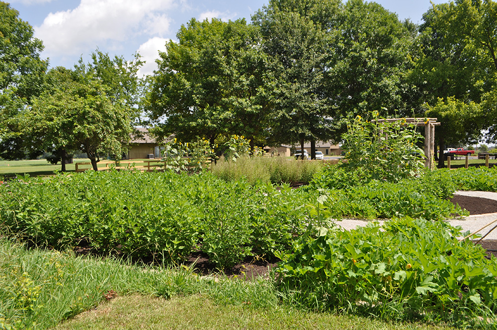 View of the Plum Bayou Garden, June 2015