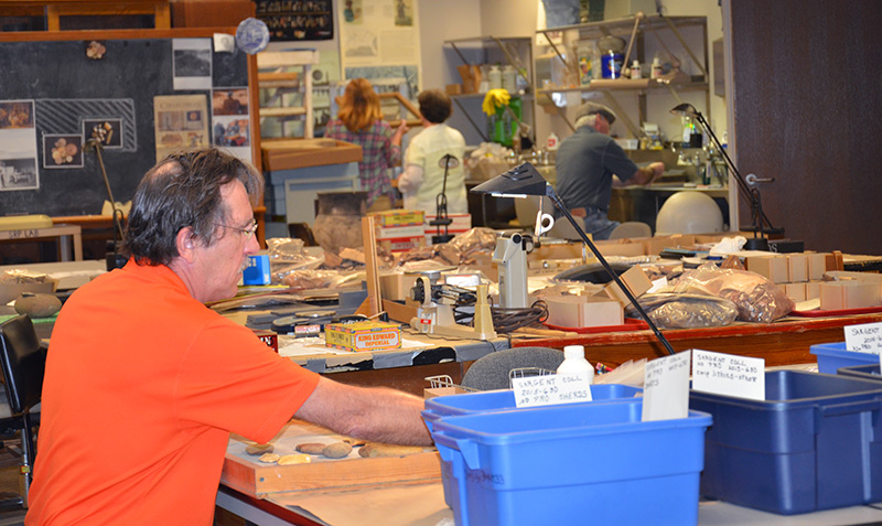 Arkansas Archeological Society member Steve Longacre processing the Sargent Collection.