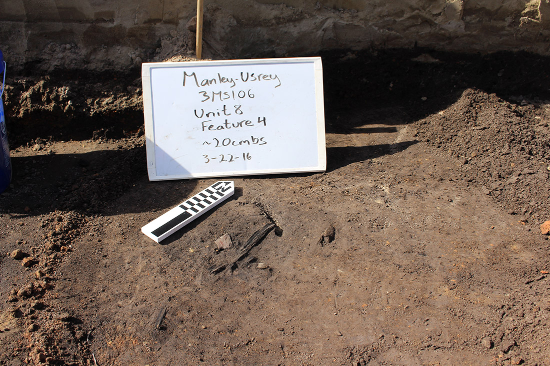 Figure 2: Carbon sample of cane found underneath daub fall on the south edge of Unit 8.