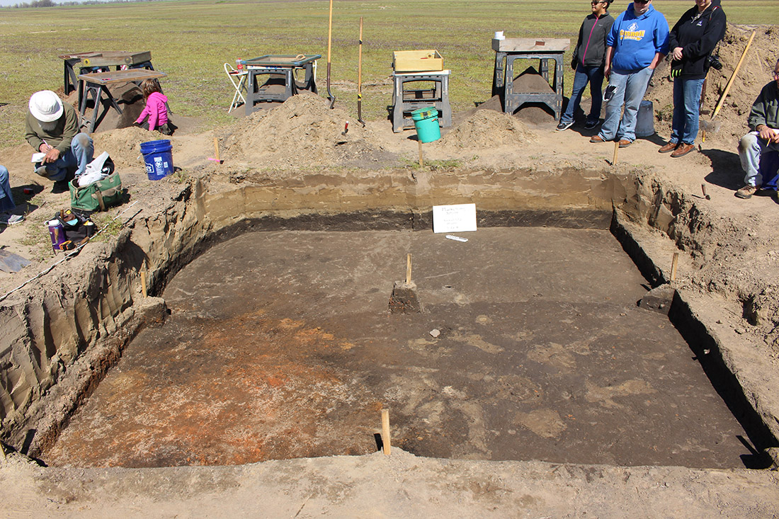 Figure 1: Base of level 2 in all excavation units.