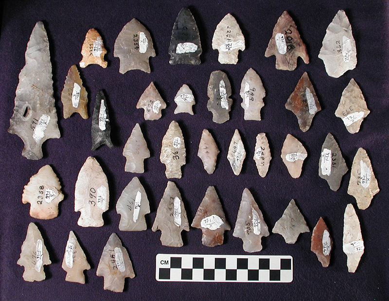 Dart points in the JEC Hodges Collection span thousands of years of Arkansas history. Artifacts are photographed prior to use in exhibits. 