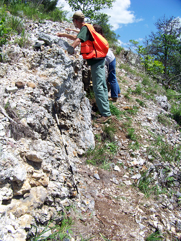 Raymond McGrath (Ouachita National Forest) examines a quarried novaculite outcrop.