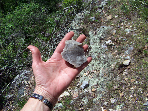 Fine-grained gray novaculite outcropped here, as seen by this large primary flake.
