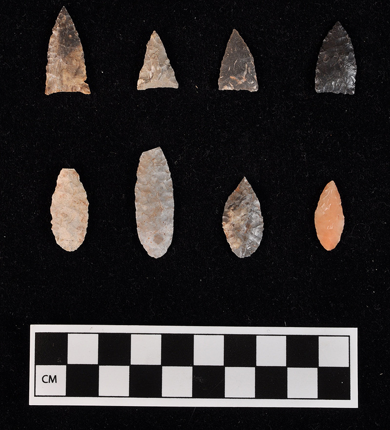 Madison arrow points, top row; Nodena arrow points, bottom row; all found on the floor of House 2.