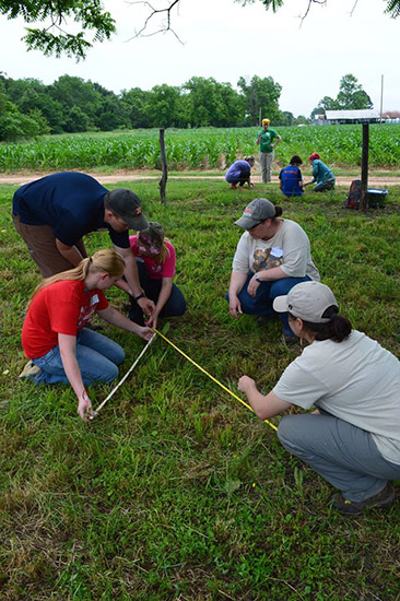 Students preparing a site for excavation.