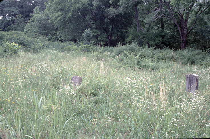 Overgrown graves at Friendship Cemetery, before cleanup.