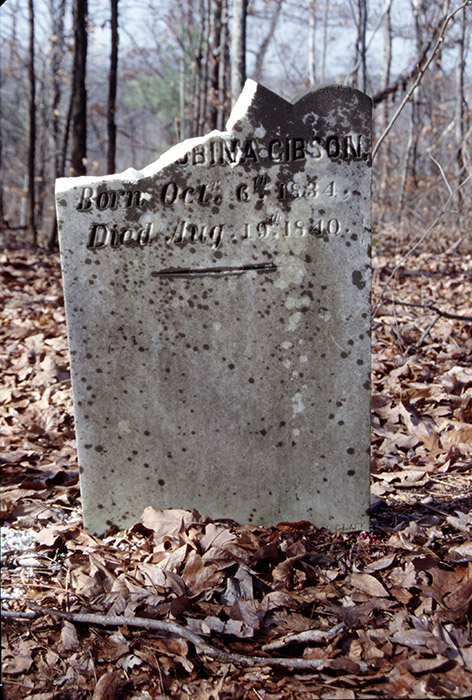 The Arkansas Archeological Survey worked with the county sheriff after vandalism to grave markers was reported at this cemetery in 2002.  