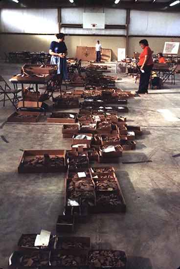 Organizing artifacts by catalog number at the VoTech school in DeQueen, site of the 1986 Holman Springs Society Dig laboratory.