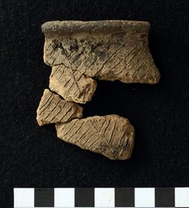 Fragments of a ceramic jar with incised decoration were found at 3MN298. 