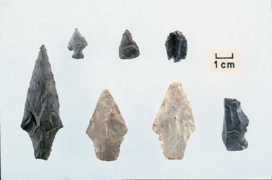 Projectile points from the Open Shelter, Spradley Hollow.