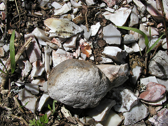 A hammerstone and novaculite debris left on the surface of this Polk County site are evidence of past quarrying activity.