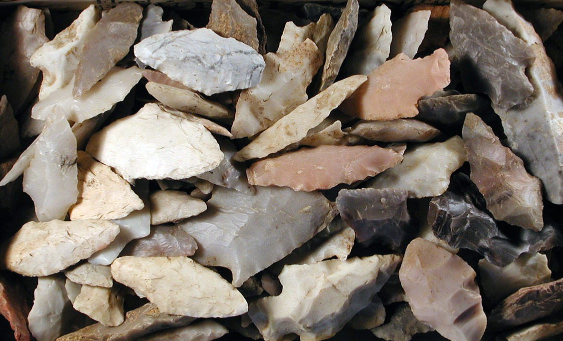 Novaculite was the preferred raw material for chipped stone tools made by Indians living in Arkansas’s Ouachita Mountains and Gulf Coastal Plain.