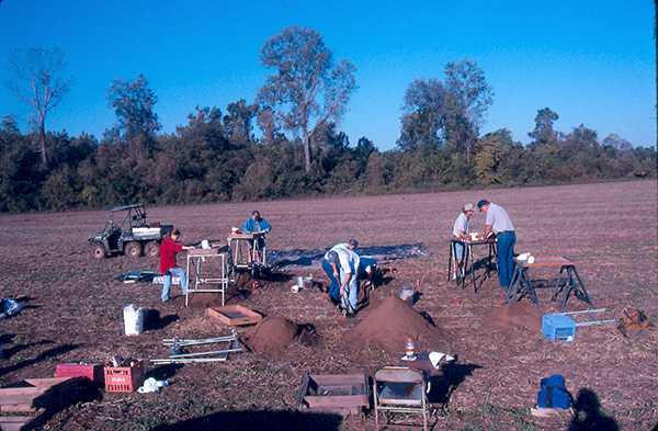 Wallace Bottom excavation in progress.