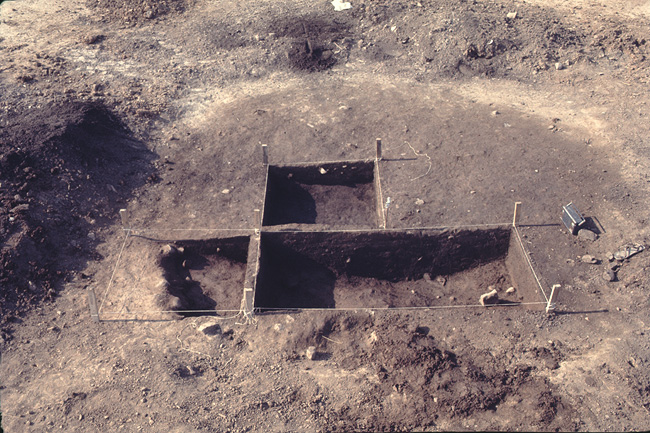 Feature 2, a 3-meter diameter section of dark soil with the Survey’s excavation units laid out (facing north).