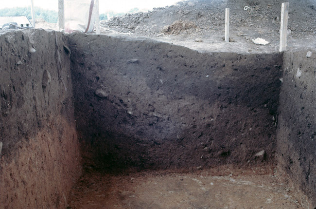 Feature 2 Unit 10:10 West Wall Pit Profile.