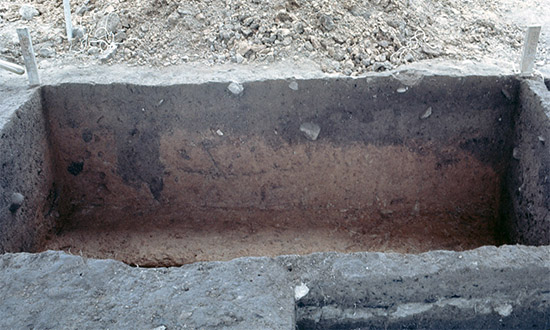 One possible post mold discovered along the south wall profile that extends partway into the pit. Feature 2 Unit 10:10 South Wall Pit Profile.